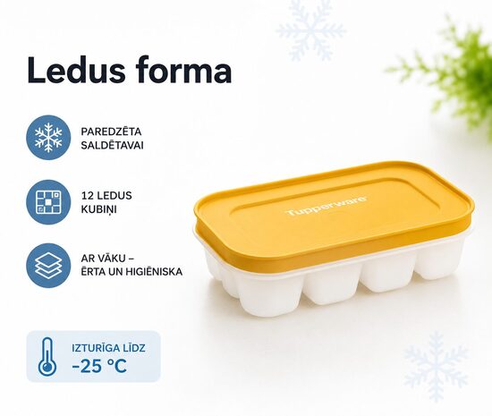 Ledus forma (atlaide -20%)